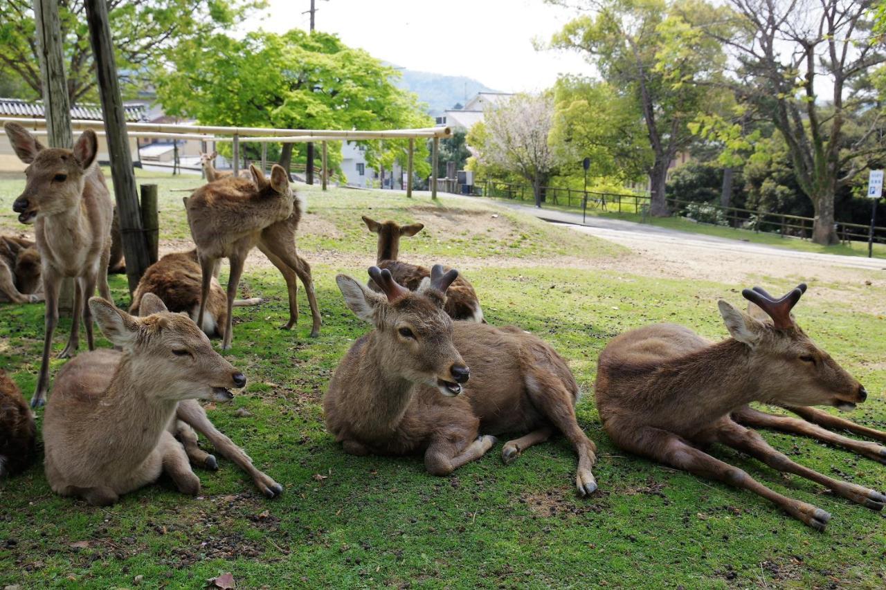 Chikyuutabikazoku　kintetsu-nara Ekimae นารา