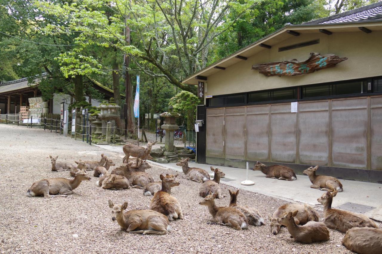 อพาร์ทเม้น Chikyuutabikazoku　kintetsu-nara Ekimae