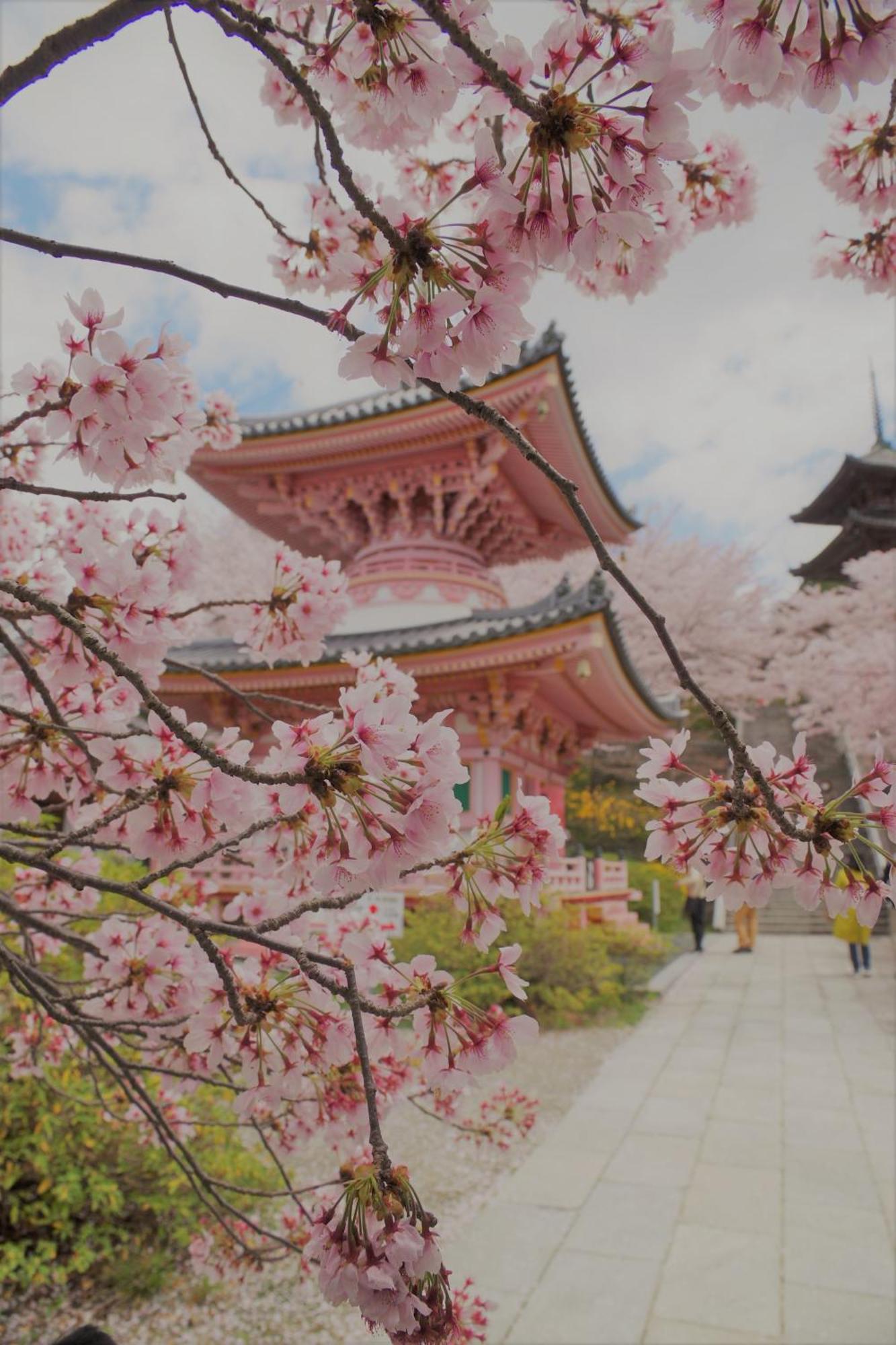 Chikyuutabikazoku　kintetsu-nara Ekimae นารา